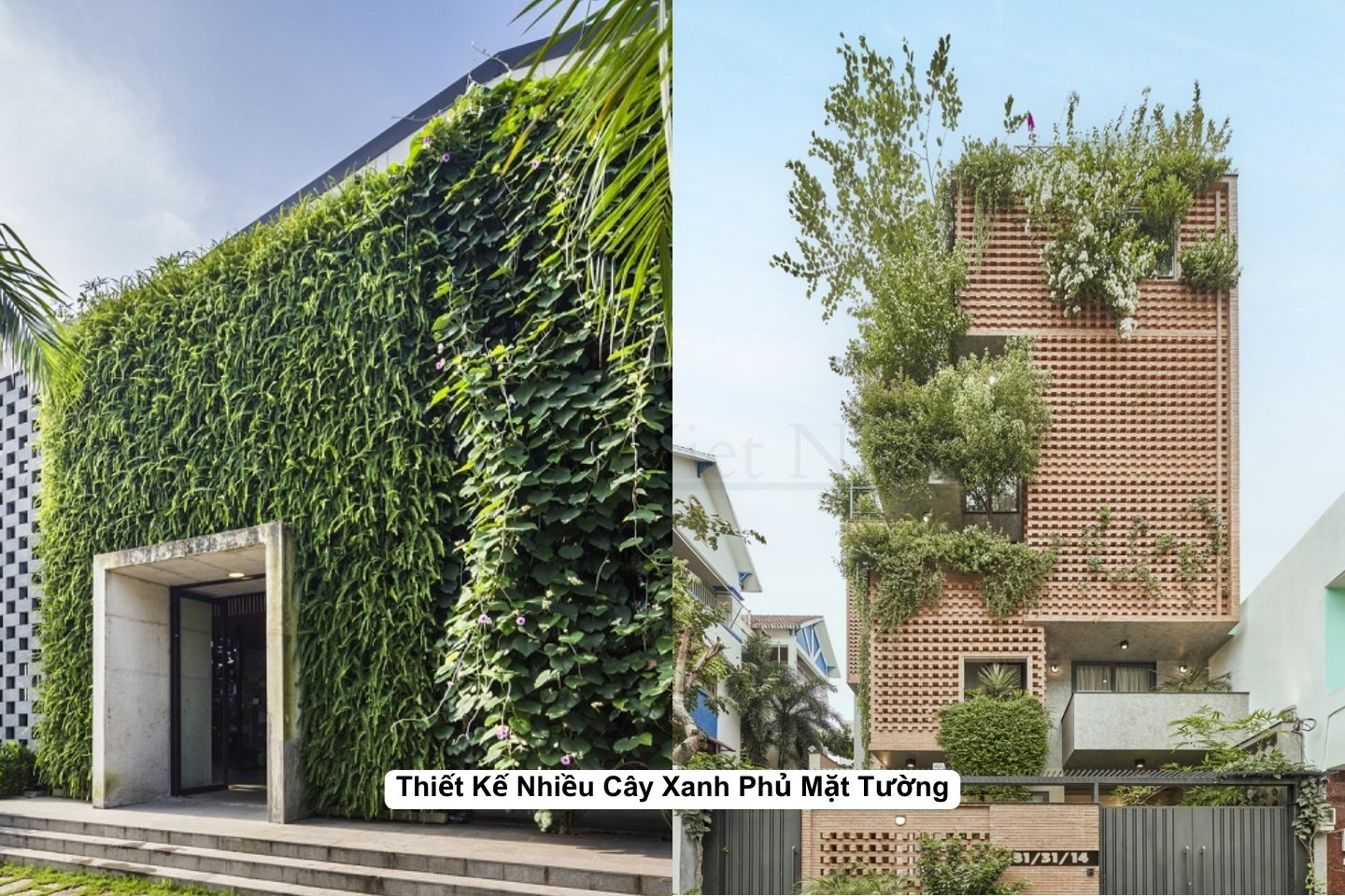 Thiết Kế Nhiều Cây Xanh Phủ Mặt Tường
